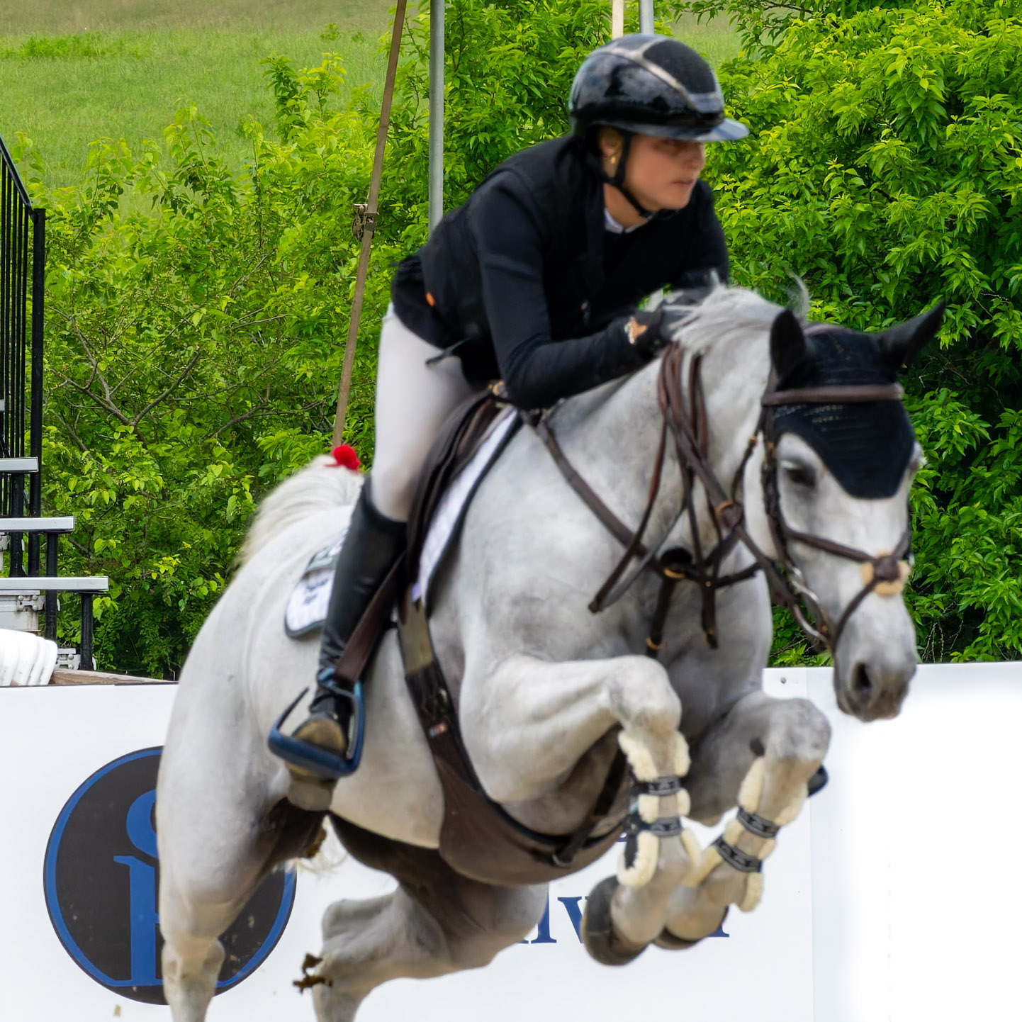 Upperville Colt & Horse Show 2024